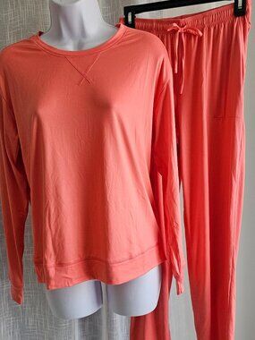 AnyBody Regular Lush Jersey Long Sleeve Top and Ankle Pant Size XXS NWOT